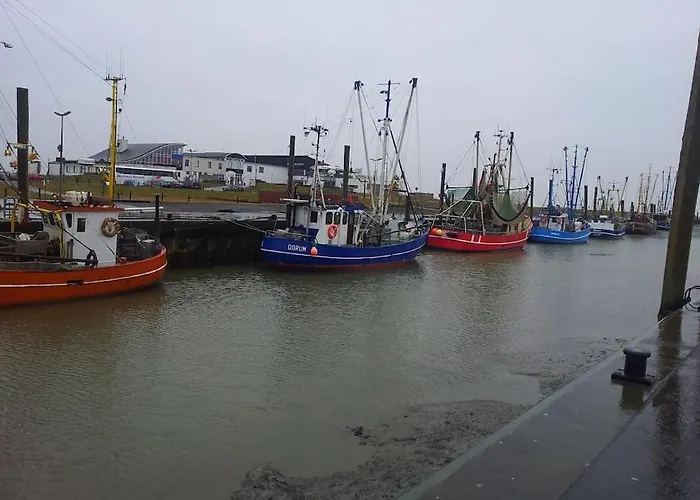 Nordsee Und Natur. Gemuetliche Fewo Mit Deichblick
